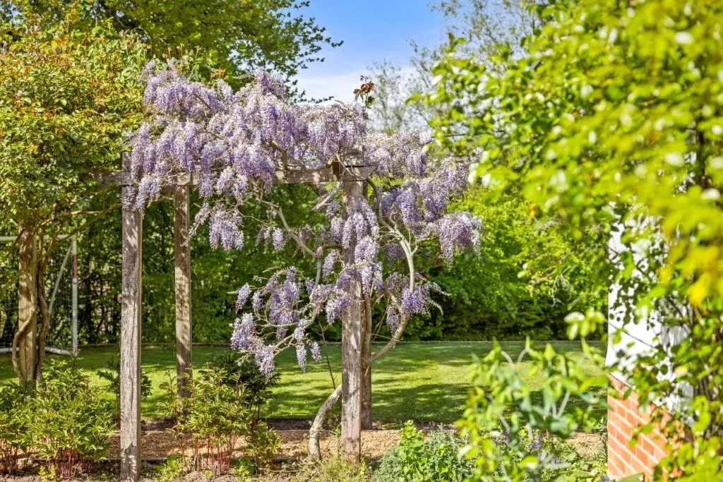 Headley Hill Road, Arford, Hampshire, GU35, photo 6