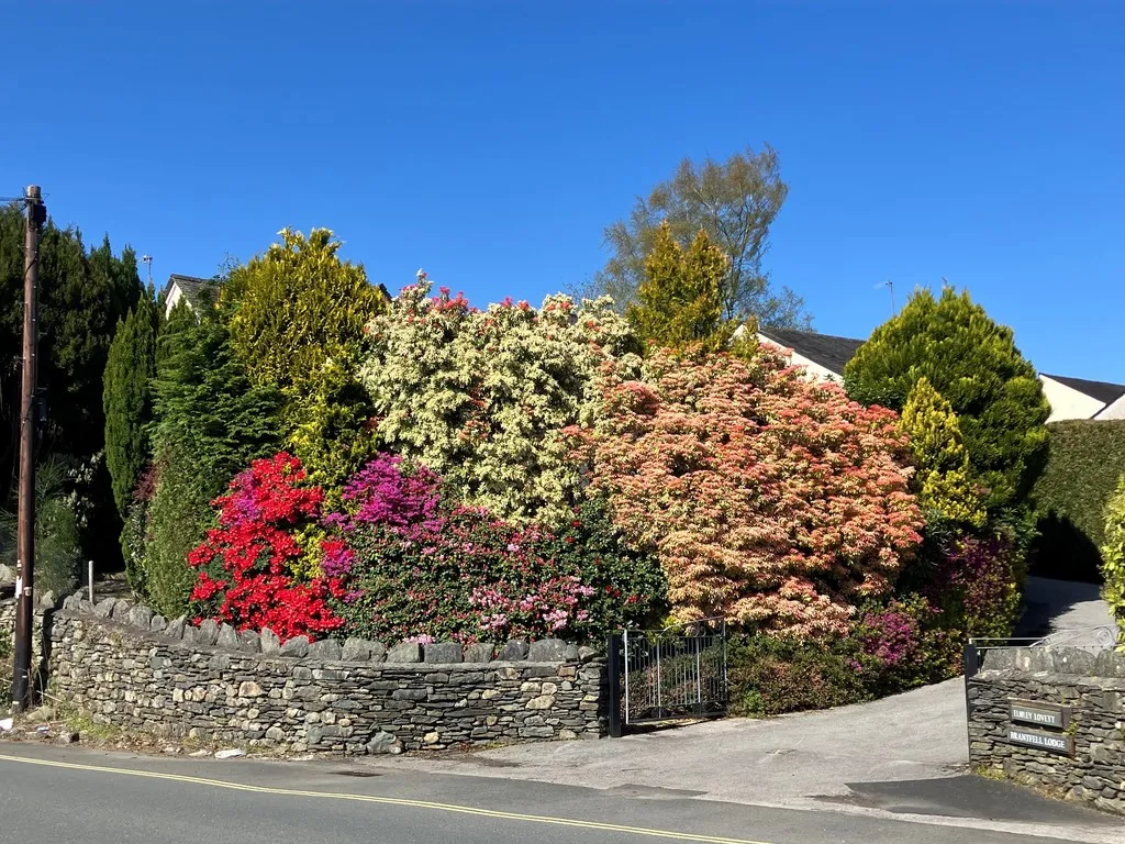 Kendal Road, Bowness-on-Windermere, LA23, photo 14