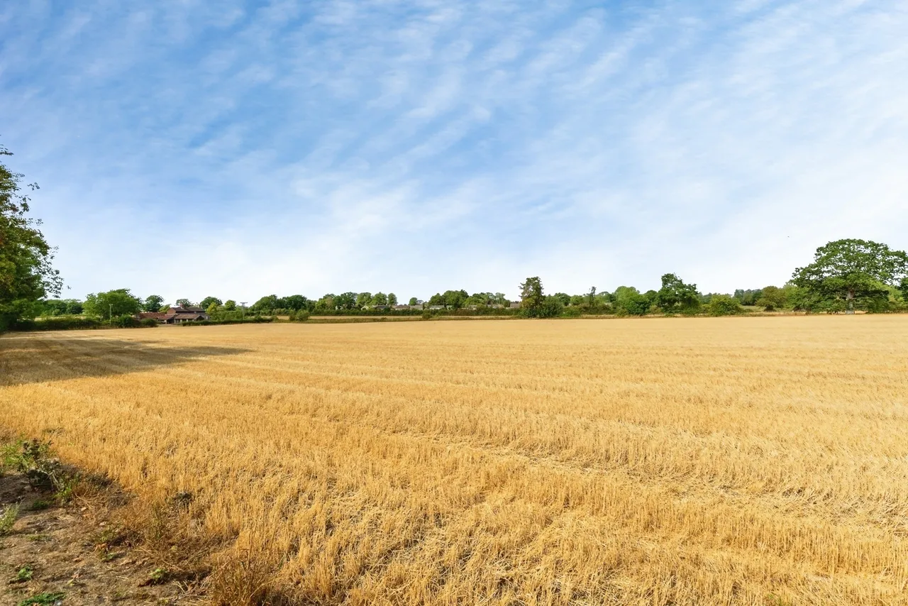 Low Common, Ashill, Thetford, Norfolk, IP25, photo 28