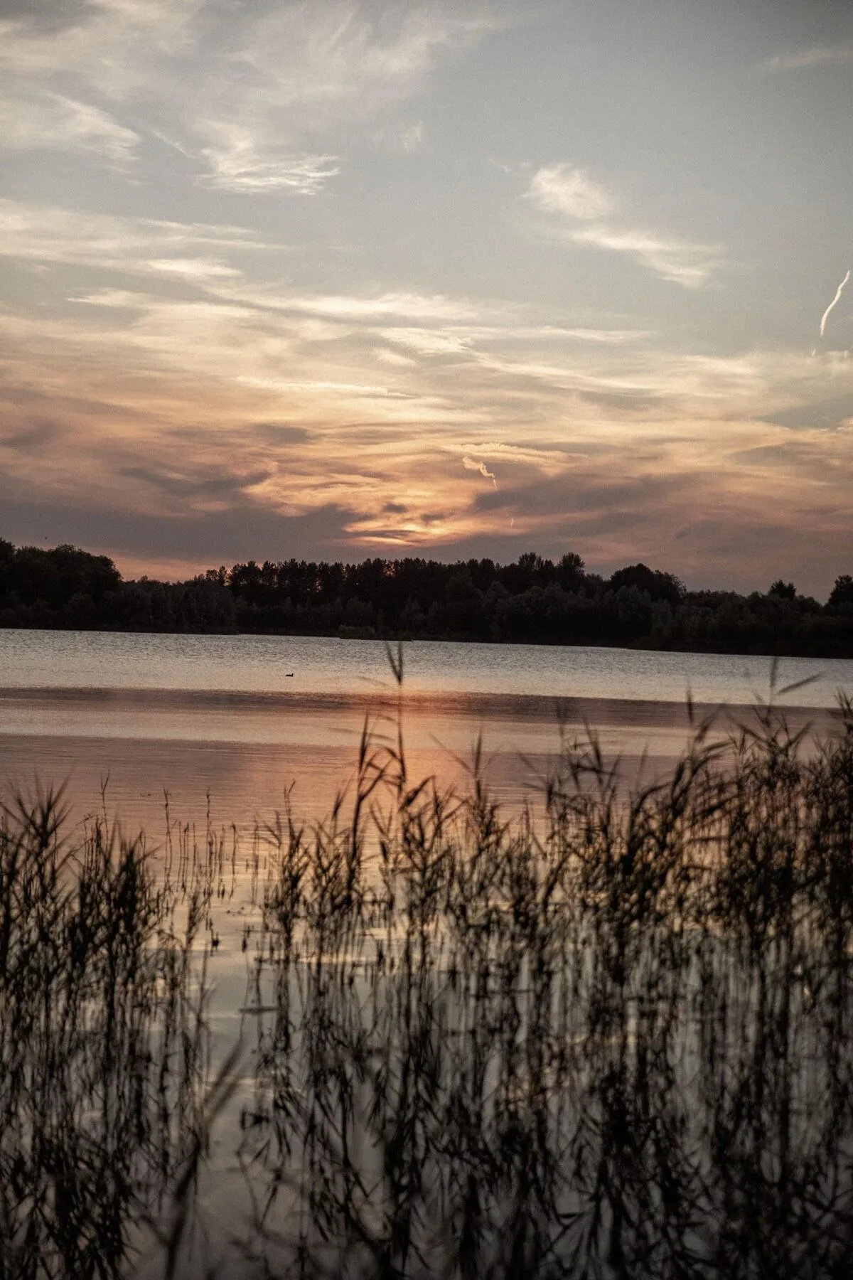 Newfound Reach, Coln Waters, GL7, photo 27