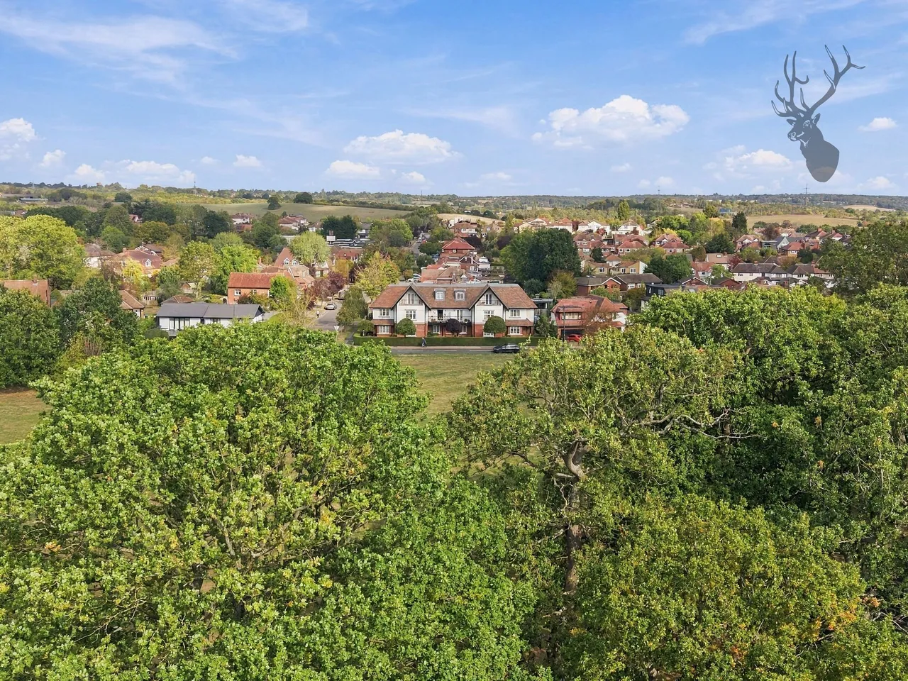 Orchard Drive, Epping, CM16, photo 29