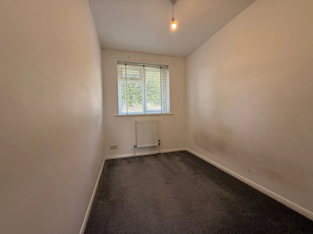 Lime Close, Chichester, PO19, photo 13