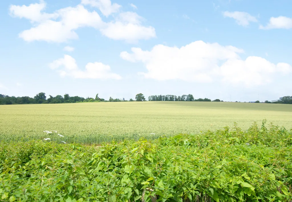 Home Way, Rickmansworth, photo 27