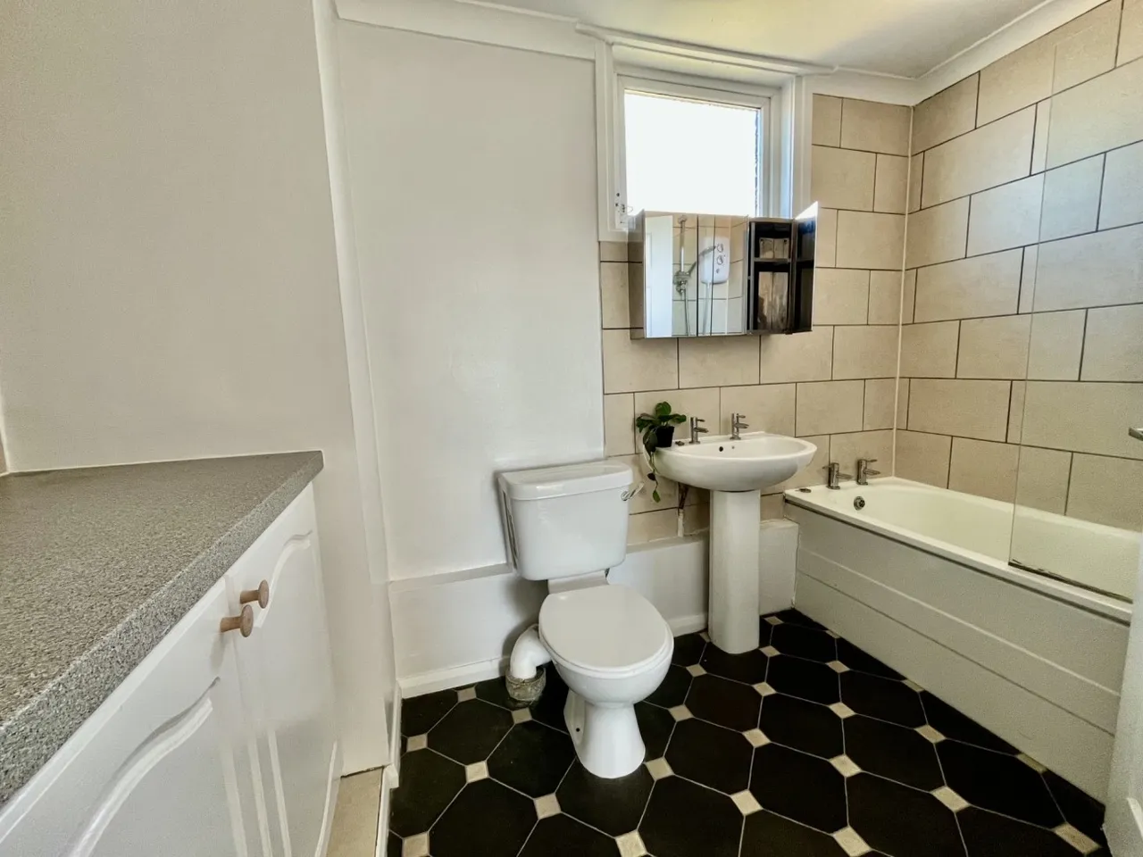 Pepys Road, St Neots, PE19, photo 7