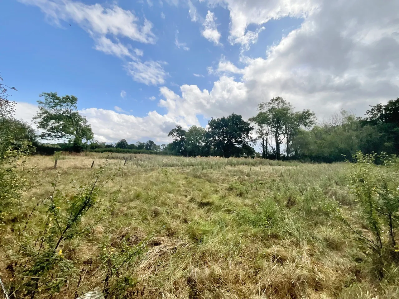 Winsford Road, Cholmondeston, CW7, photo 27