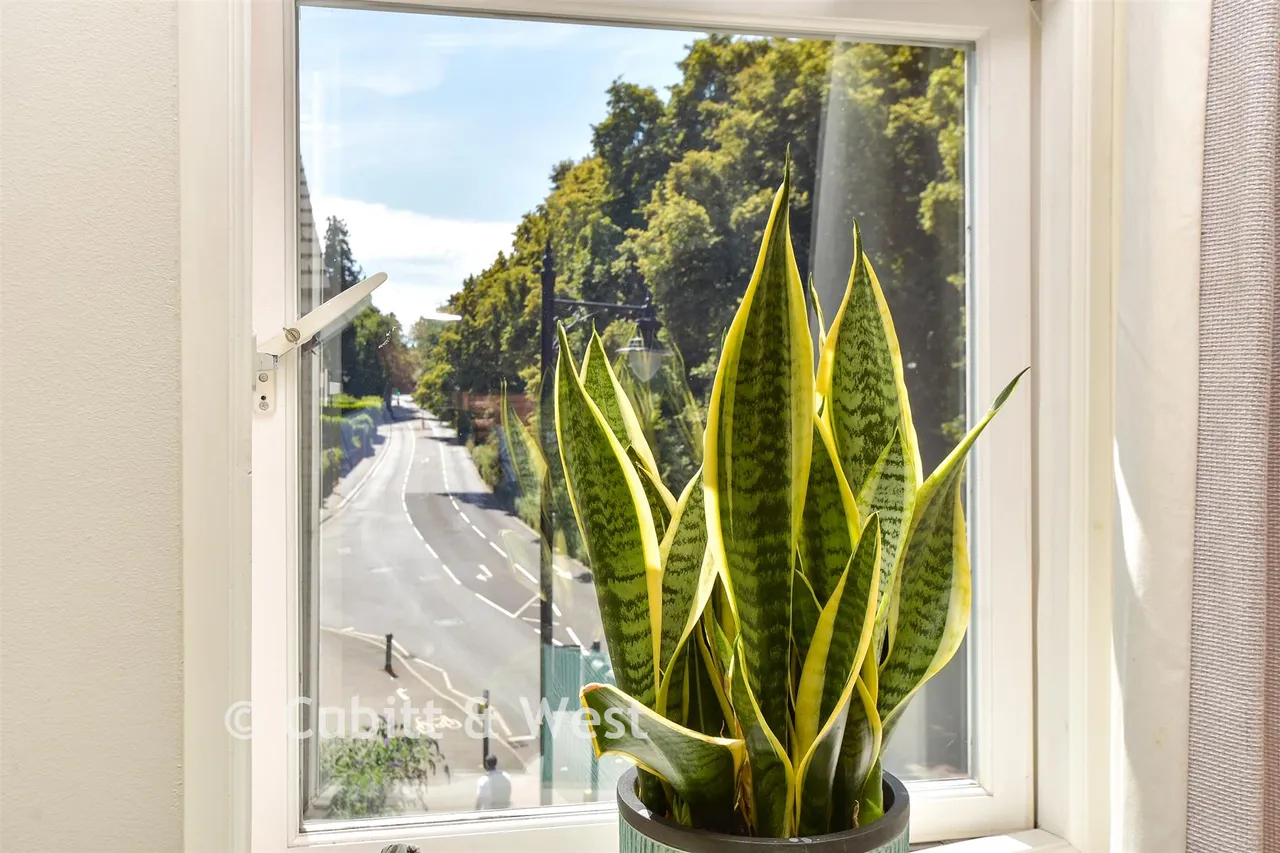 Bell Street, Reigate, RH2, photo 10