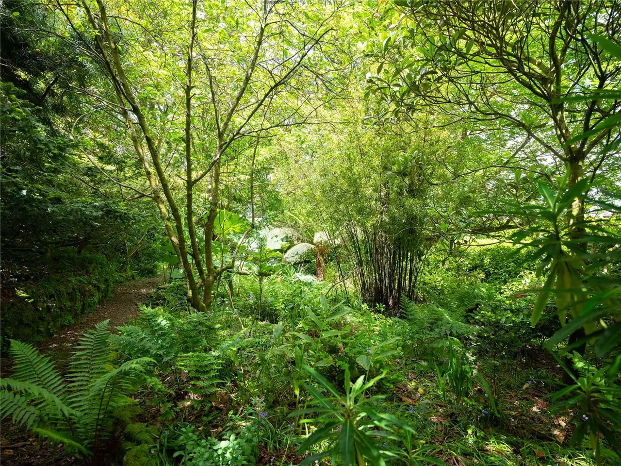 Breage, Helston, TR13, photo 25