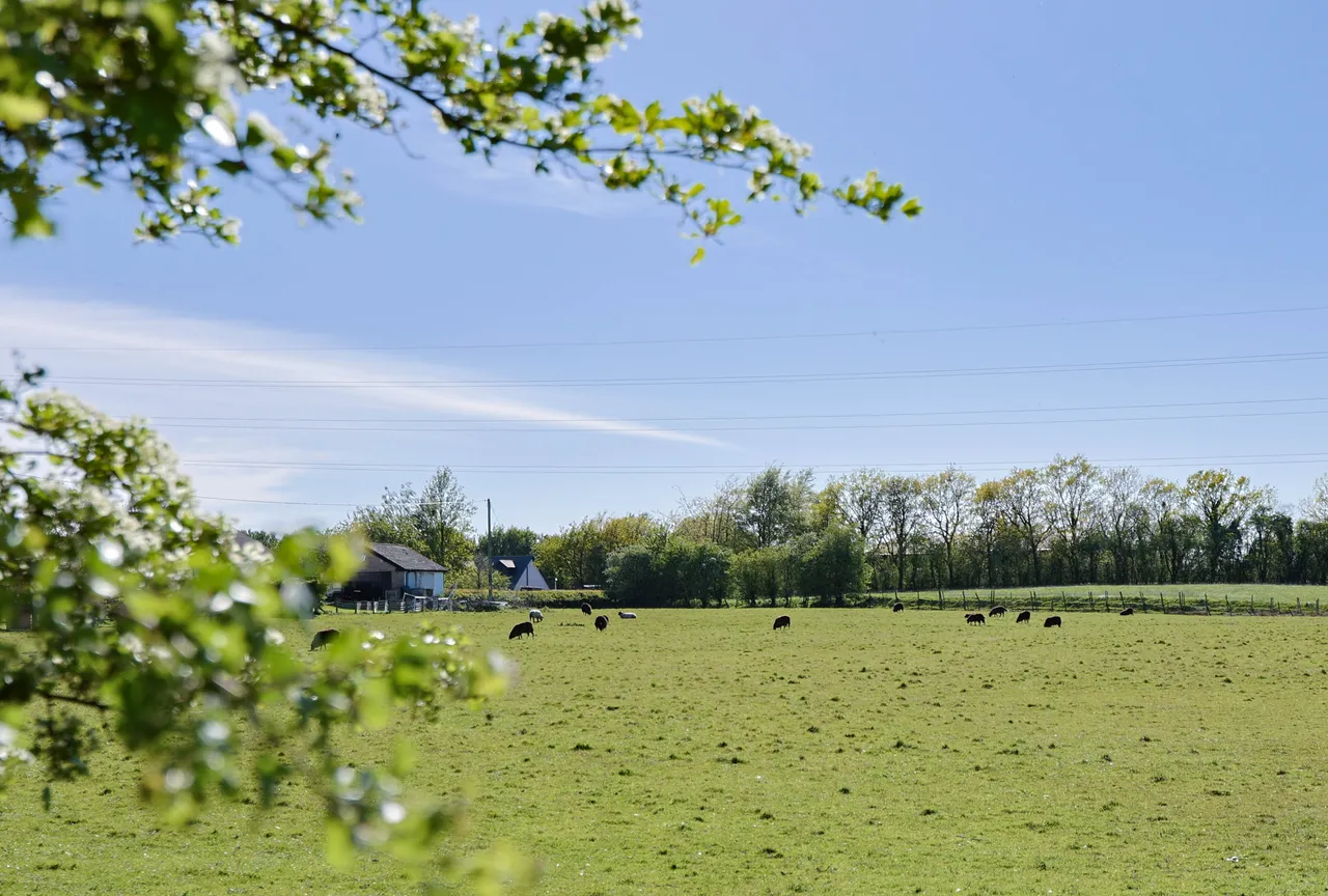 Preston Road, Charnock Richard, photo 2