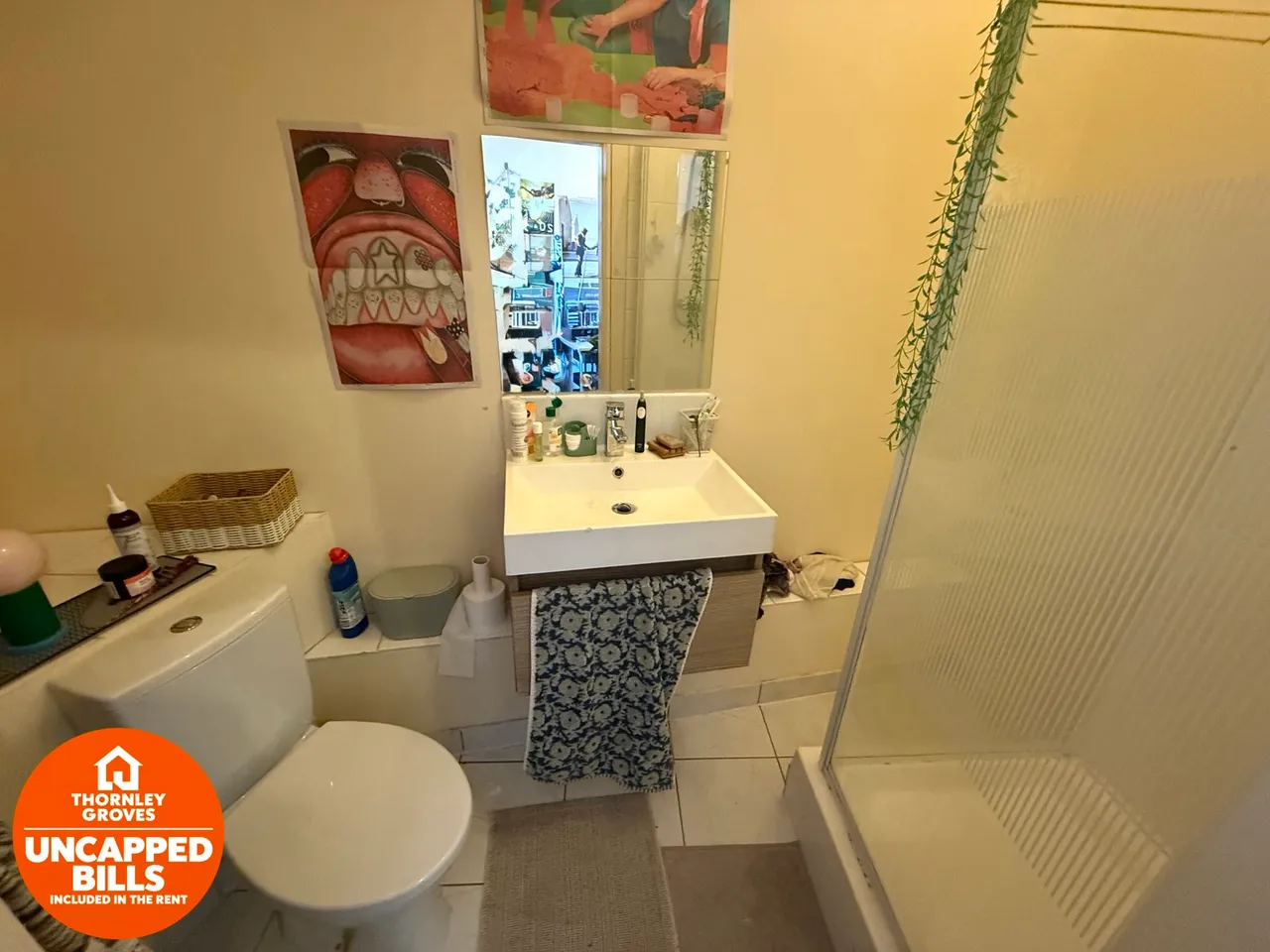 Booth Avenue, Manchester, M14, photo 16