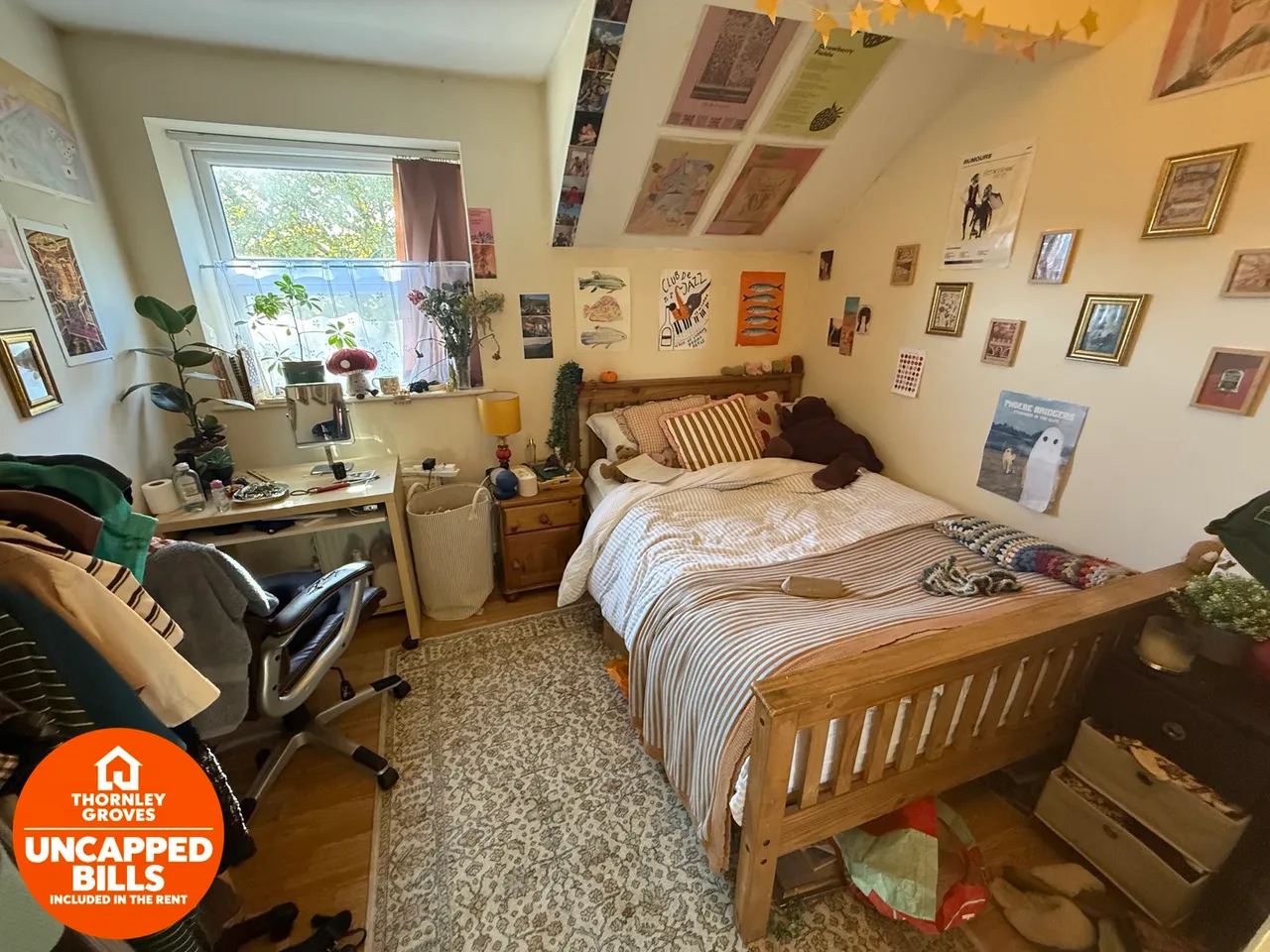 Booth Avenue, Manchester, M14, photo 15