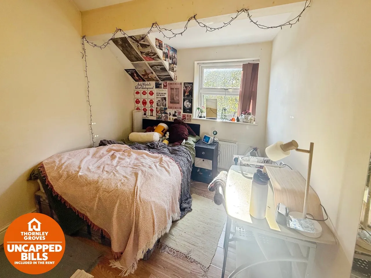 Booth Avenue, Manchester, M14, photo 19