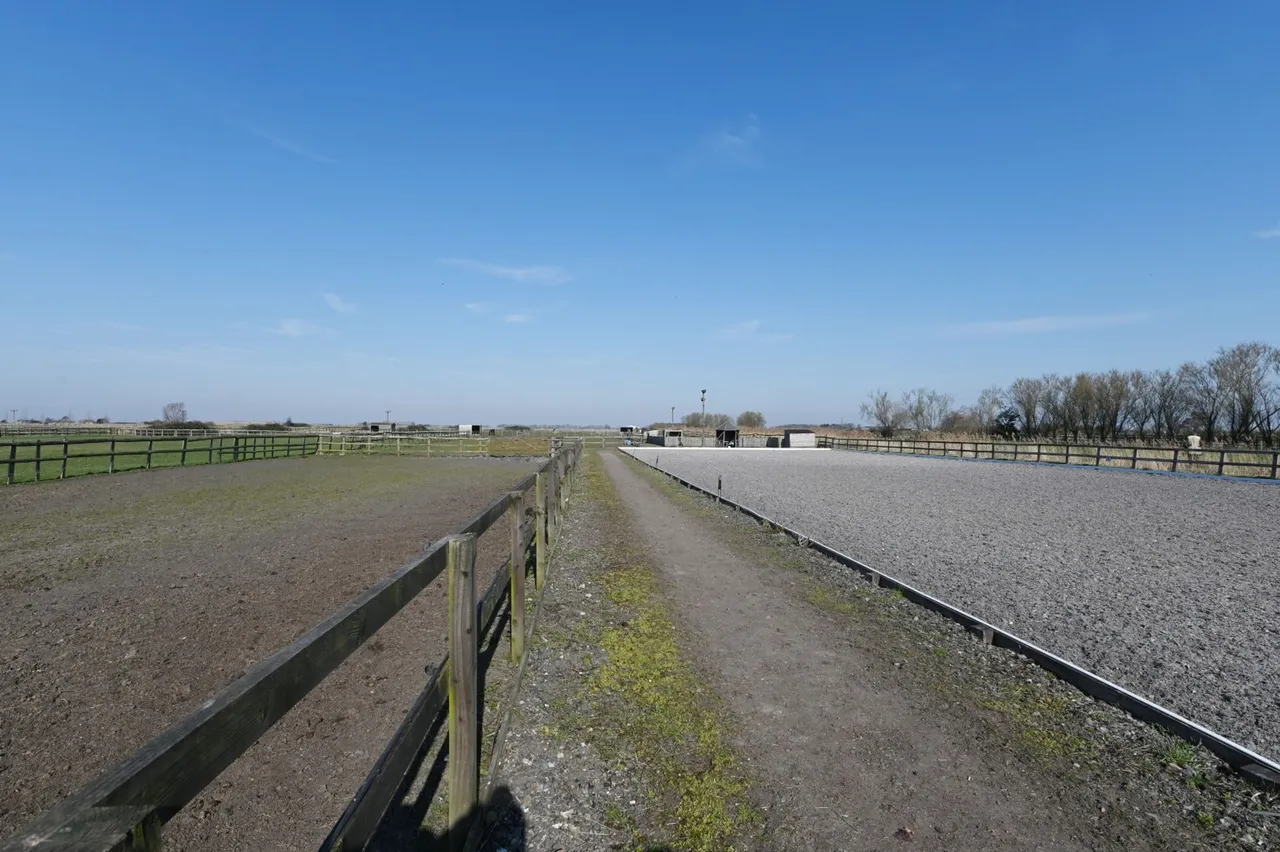 The Drove, Barroway Drove, PE38, photo 4