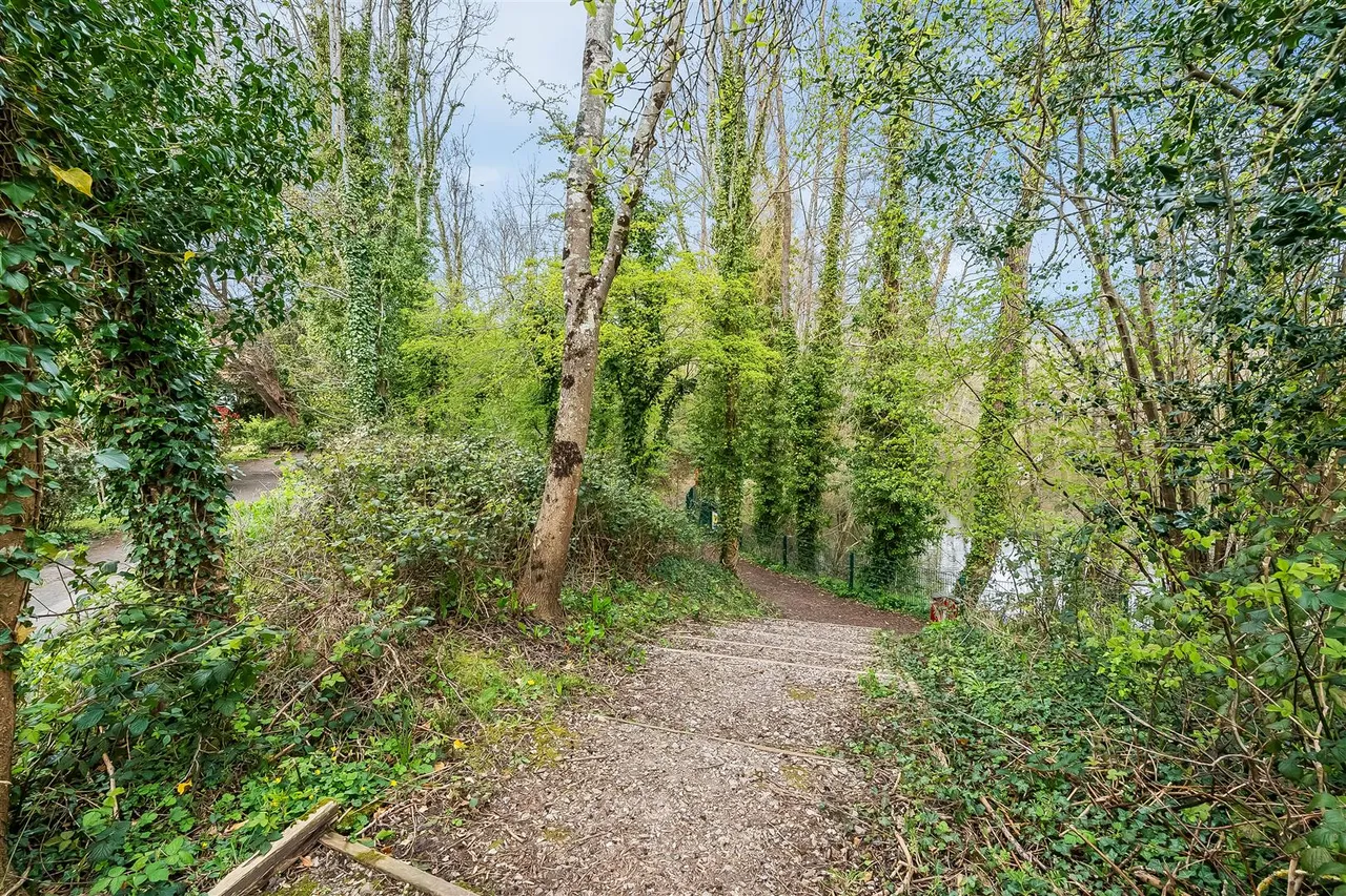 Honeysuckle Lane, North Holmwood, RH5, photo 16