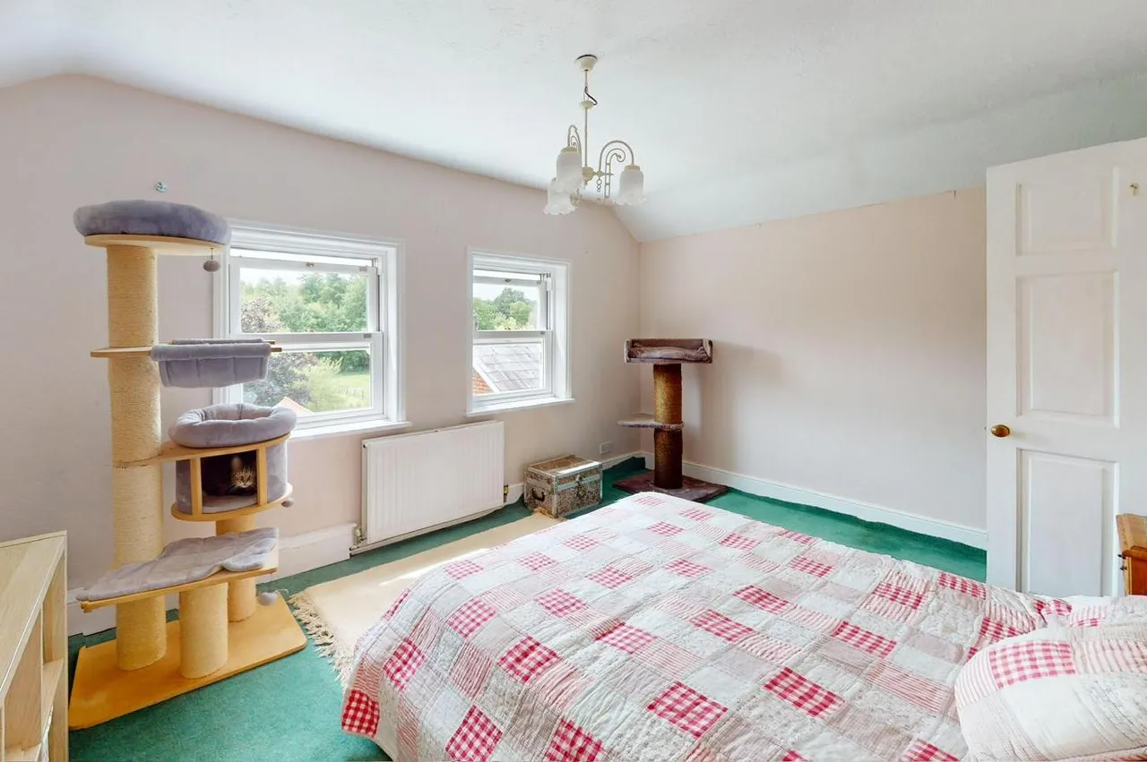 Ashford Road, Fordingbridge, SP6, photo 14