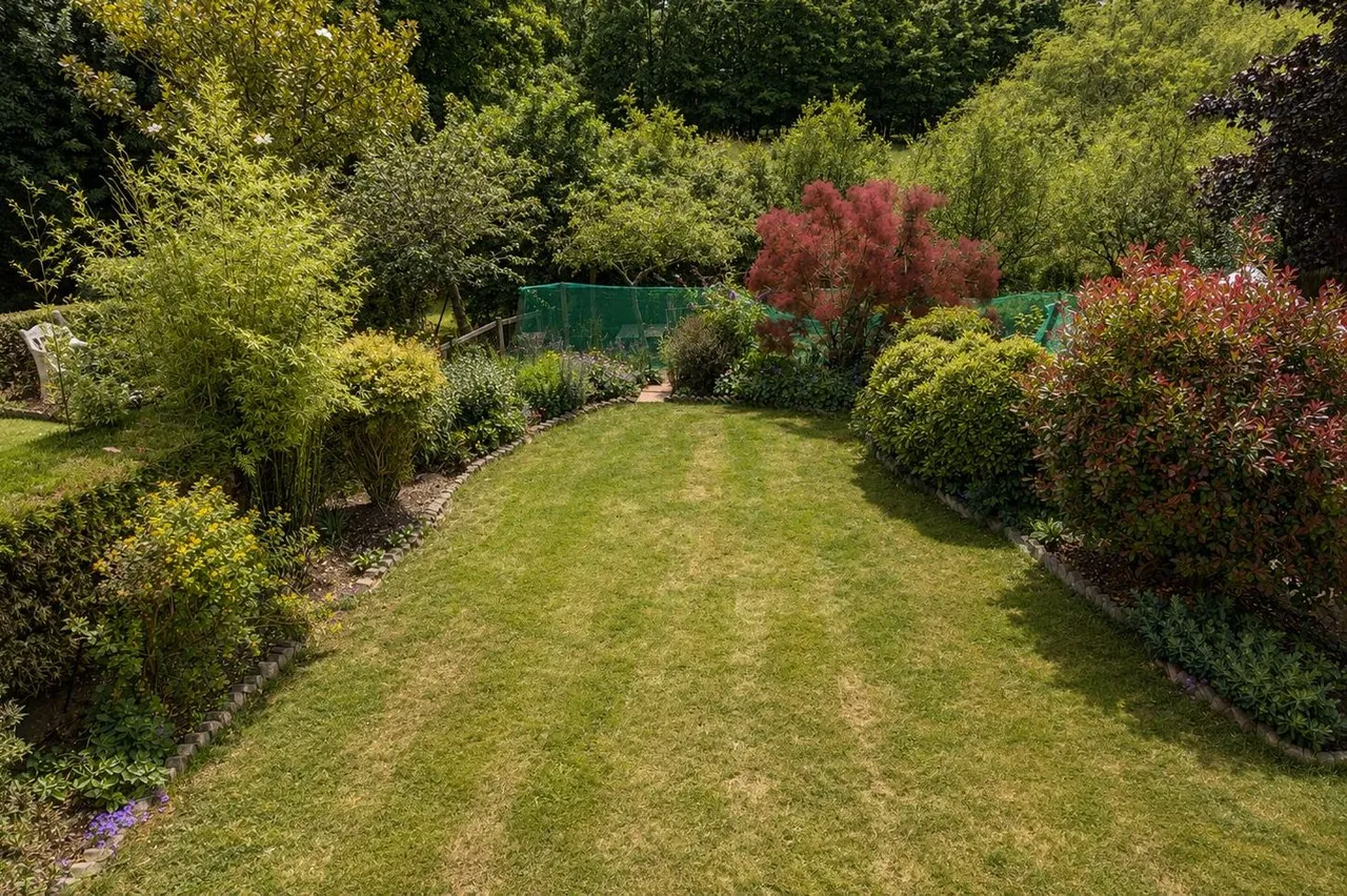 Ashford Road, Fordingbridge, SP6, photo 23