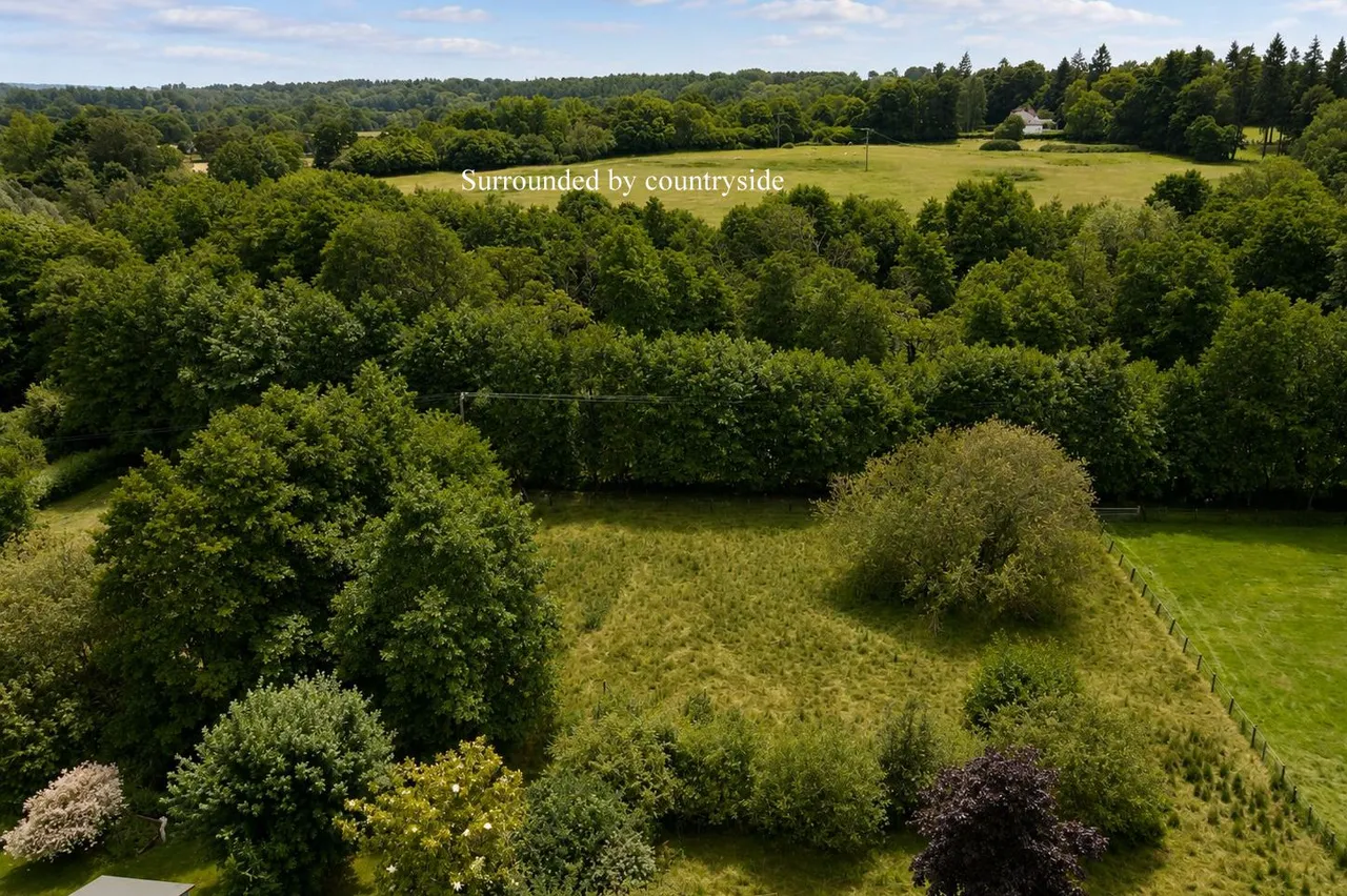 Ashford Road, Fordingbridge, SP6, photo 24