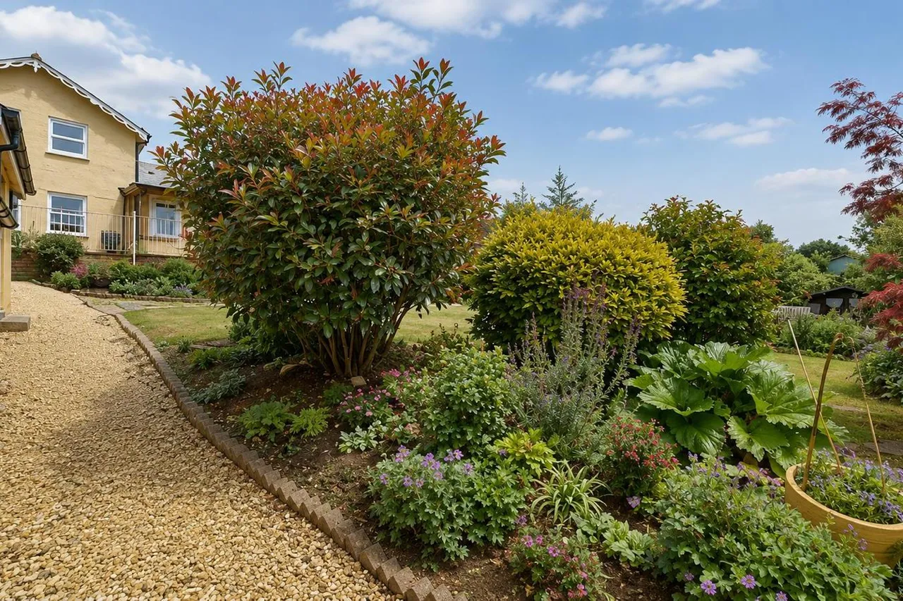 Ashford Road, Fordingbridge, SP6, photo 20