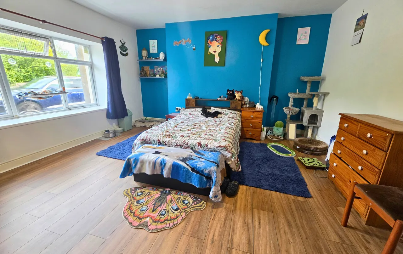 Heol y Felin, Pontyberem, SA15, photo 16