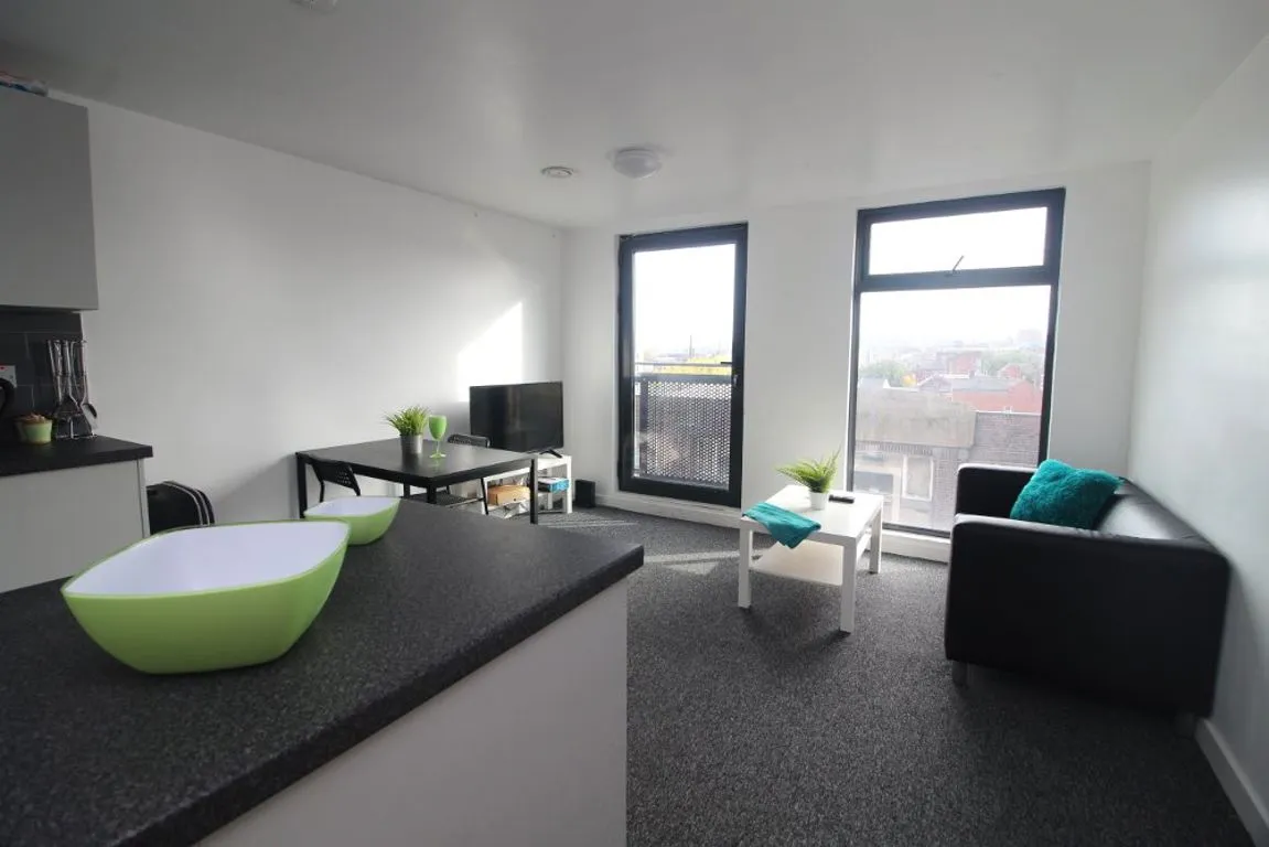 Infirmary Road, Sheffield, S6, photo 4