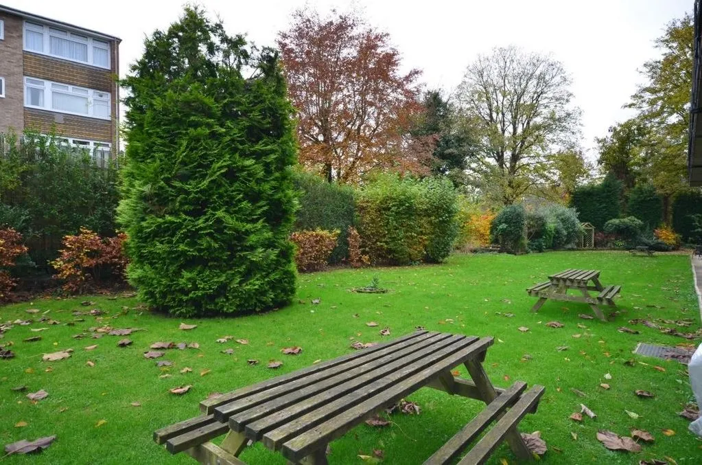 Goral Mead, Rickmansworth, photo 7
