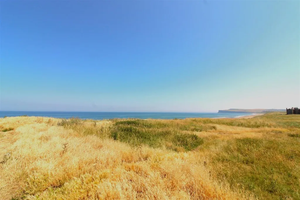 Blenheim Avenue, Marske-By-The-Sea, TS11, photo 38