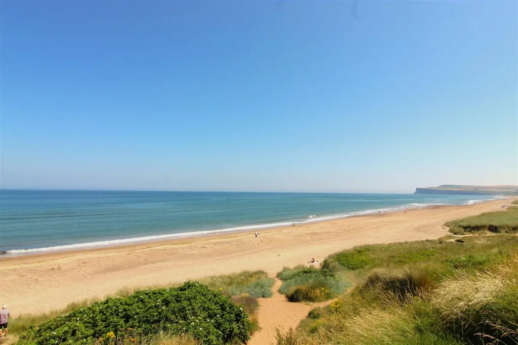 Blenheim Avenue, Marske-By-The-Sea, TS11, photo 35