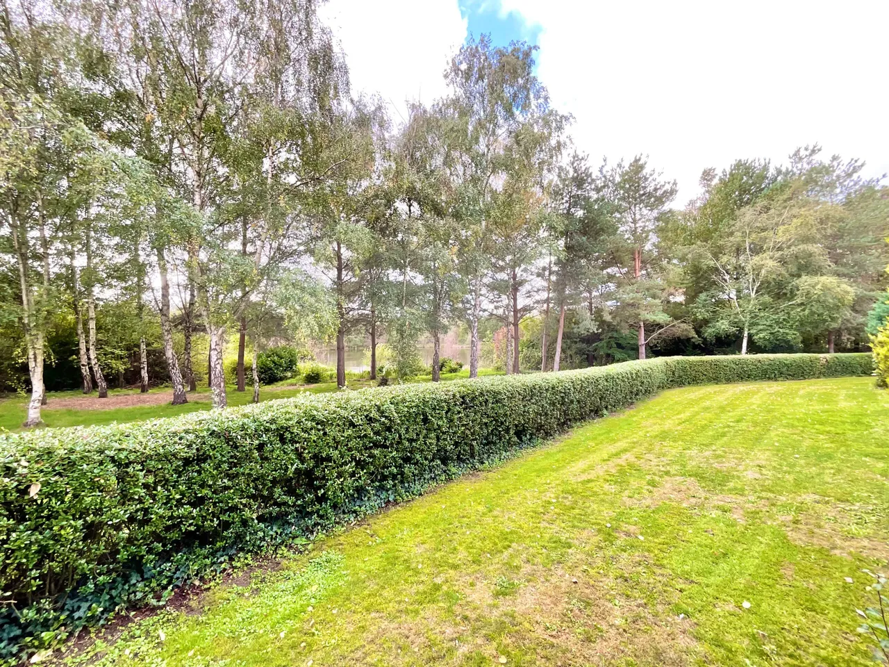 Kingswood Avenue, Weston, CW2, photo 29
