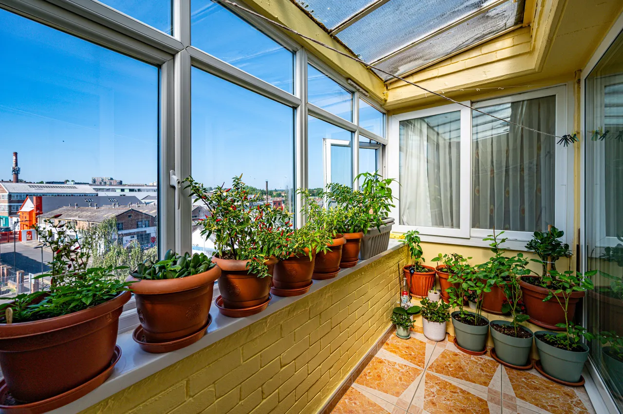 148 Tiverton Road, London, photo 10