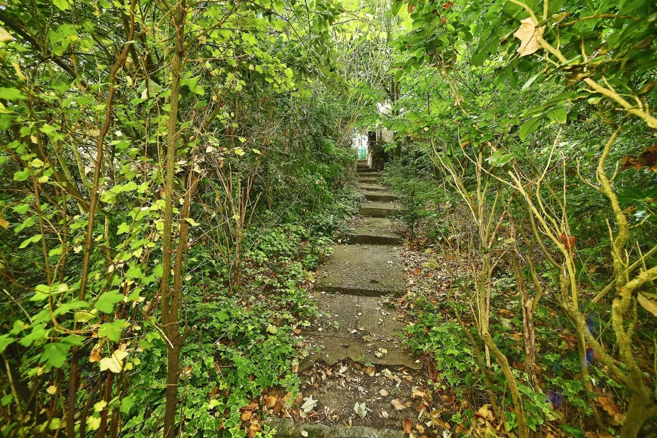 Hillcrest, Brighton, photo 12