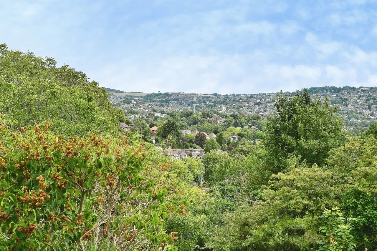 Hillcrest, Brighton, photo 10