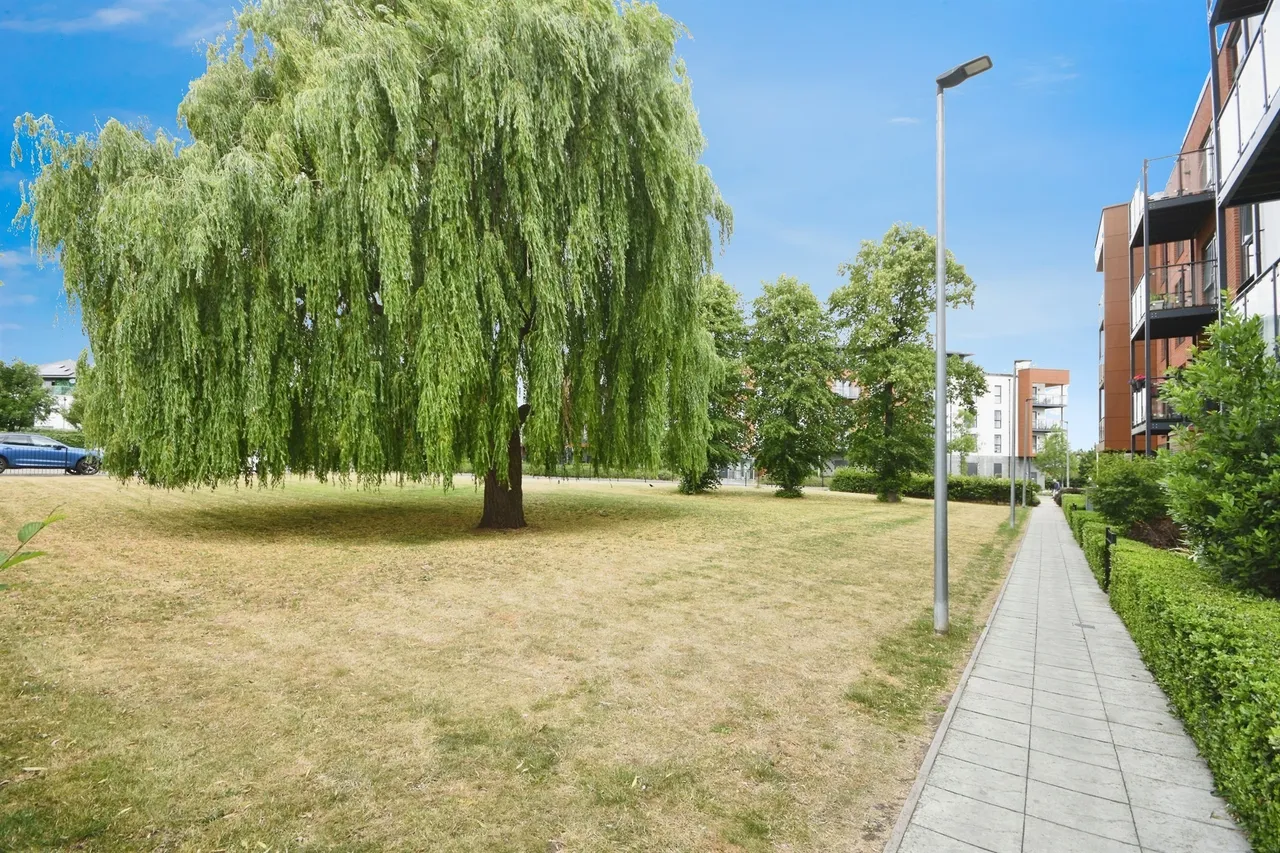 Jackdaw Close, Romford, RM3, photo 2