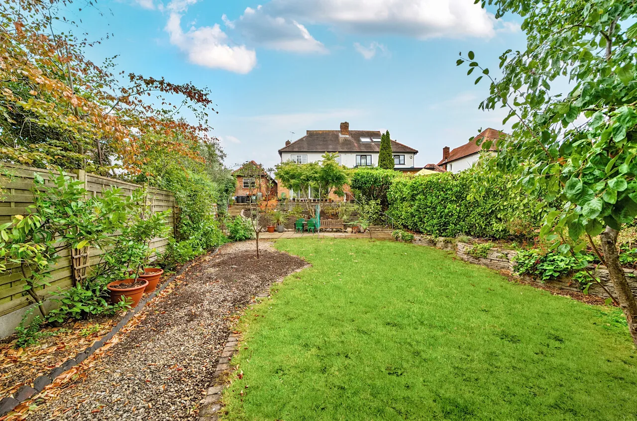 Orpington, photo 17