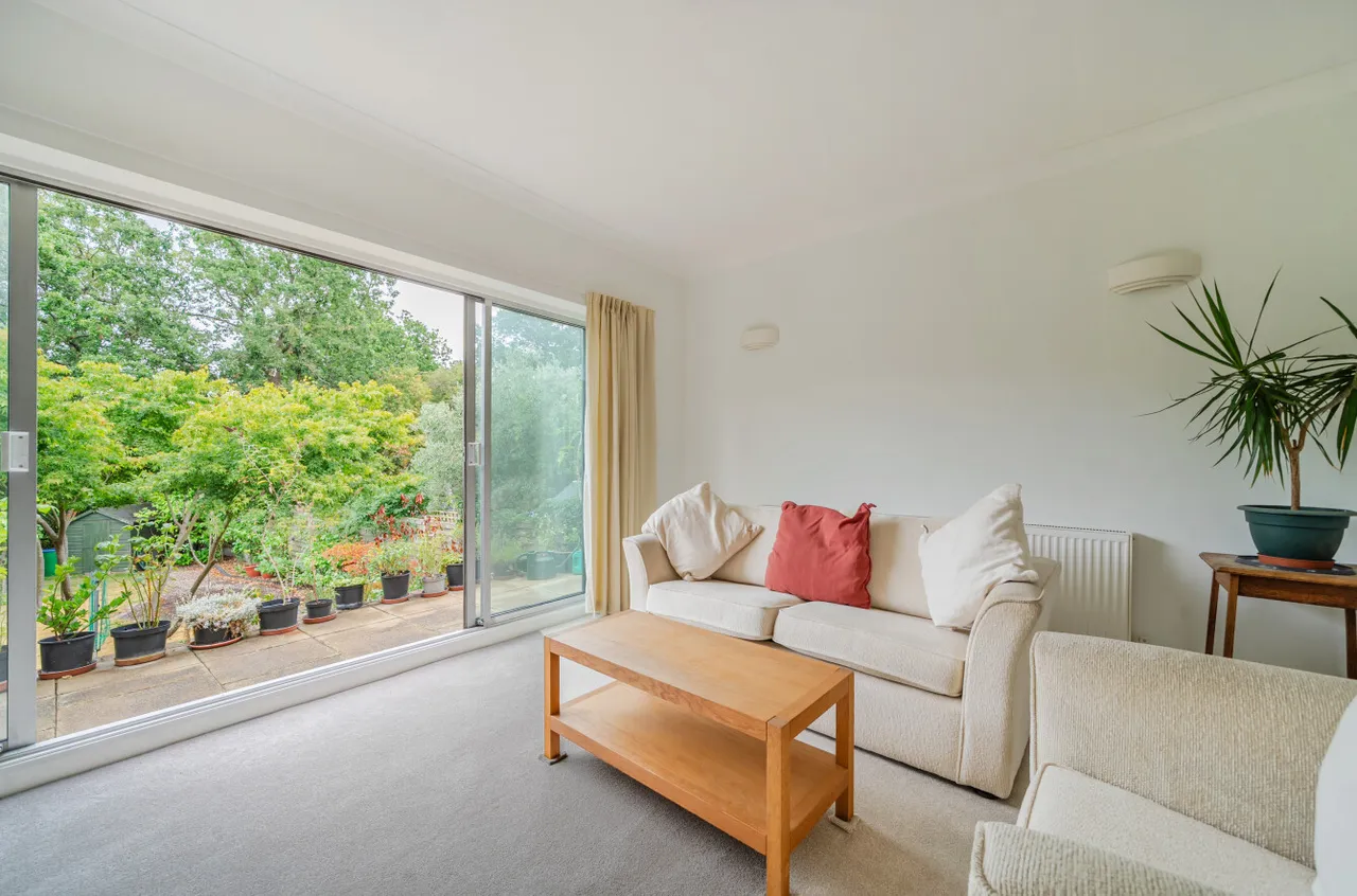 Orpington, photo 9