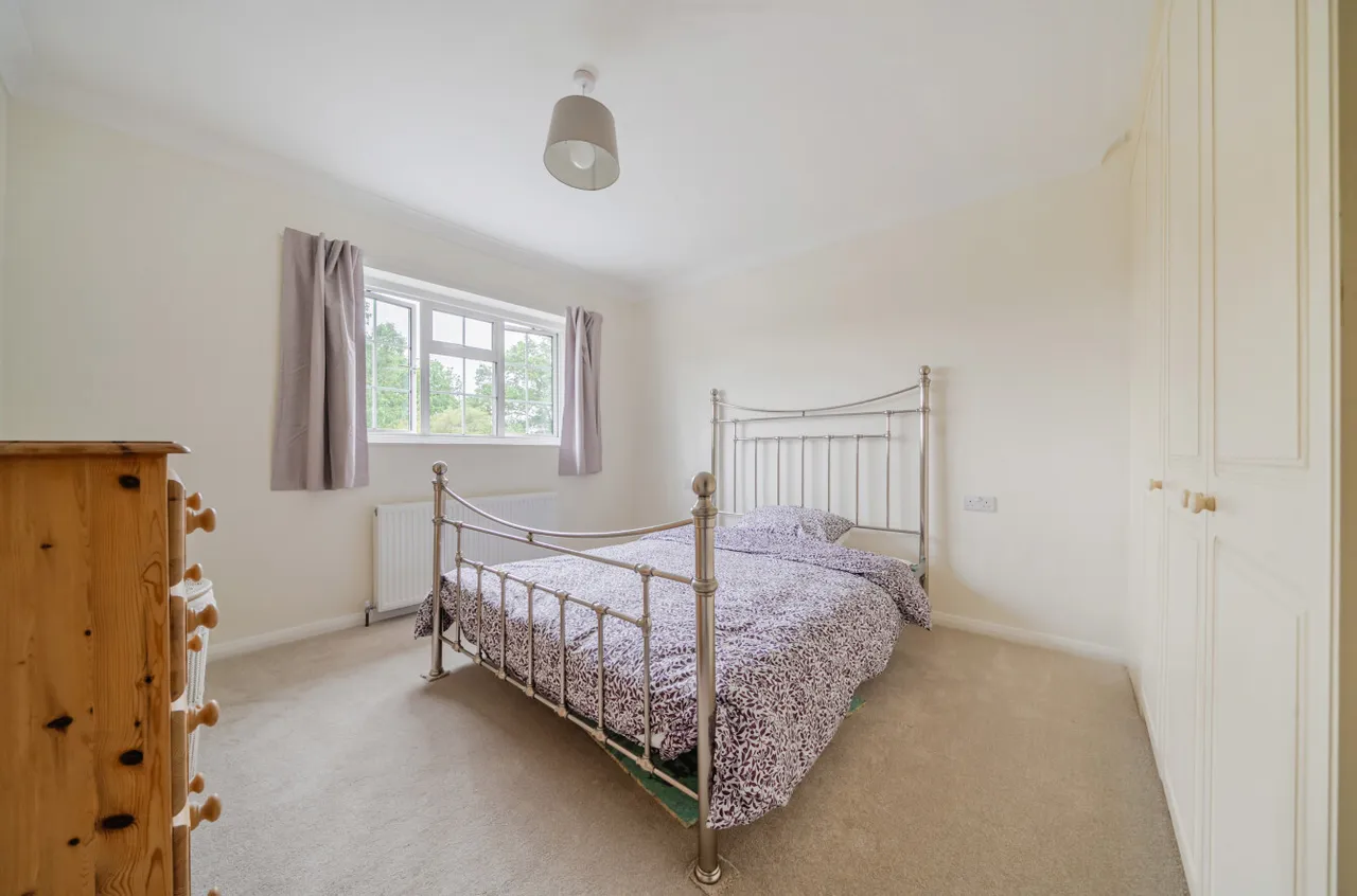 Orpington, photo 7