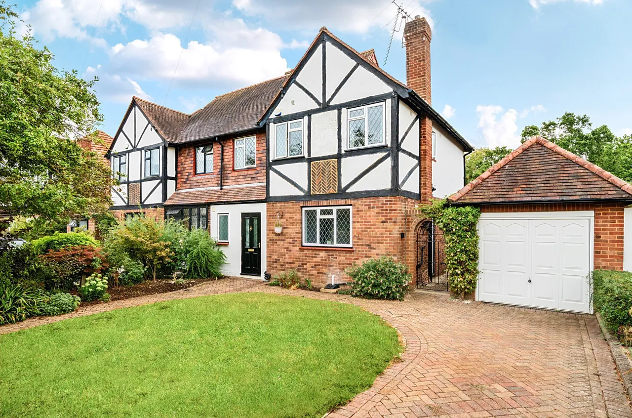 Orpington, photo 19