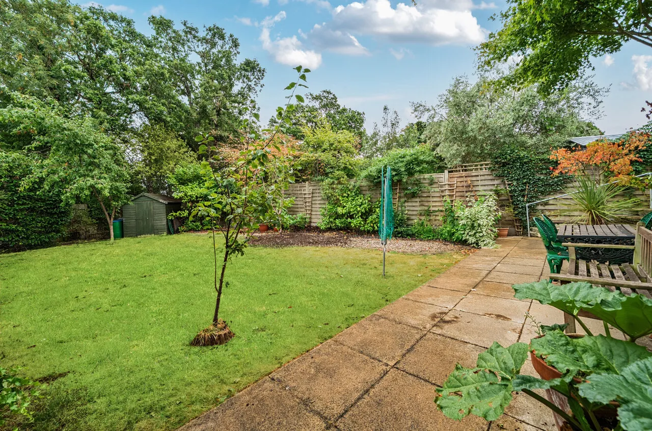 Orpington, photo 8