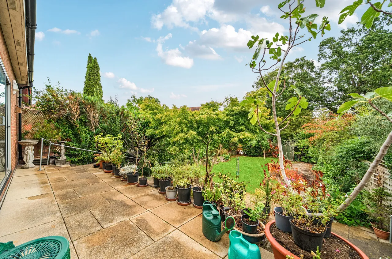 Orpington, photo 16