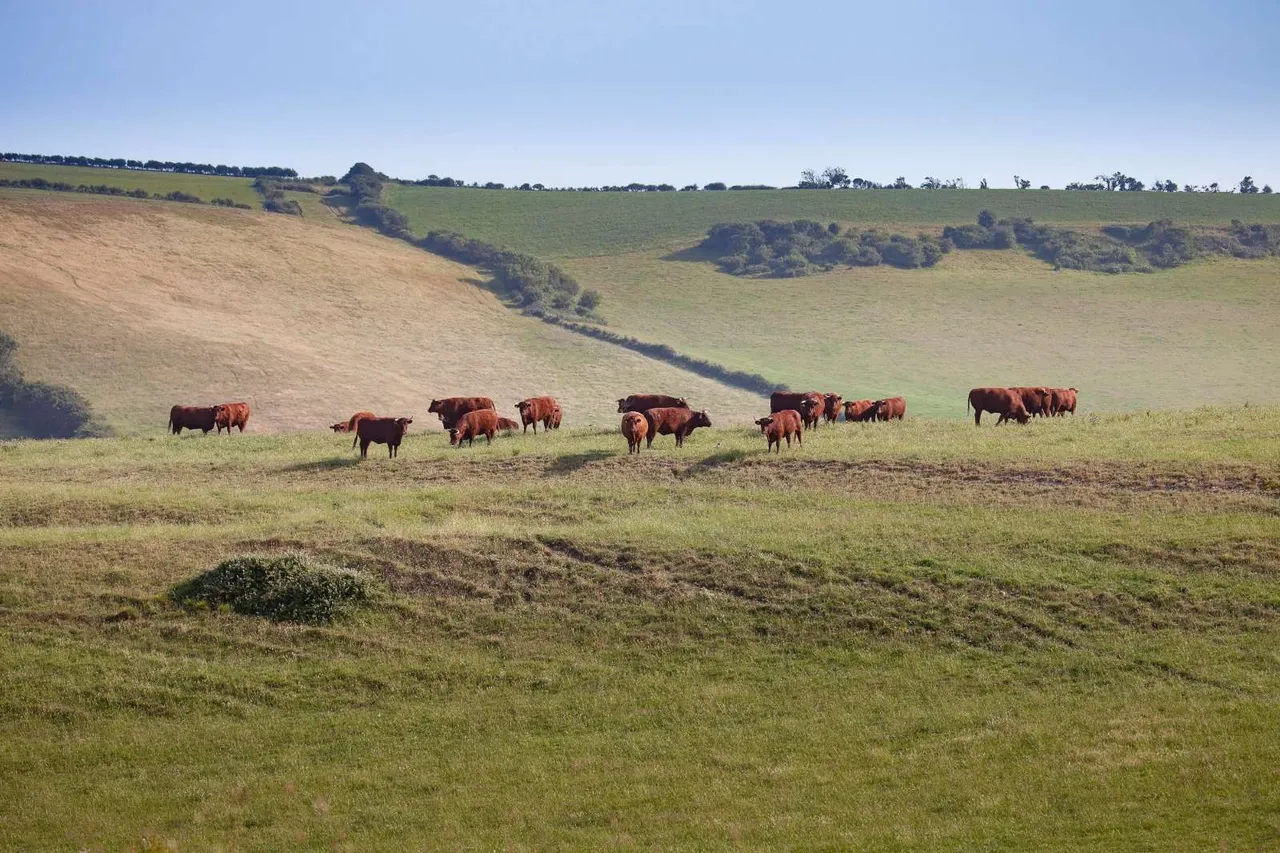 Watercombe, Dorchester, Dorset, DT2 8FX, photo 8