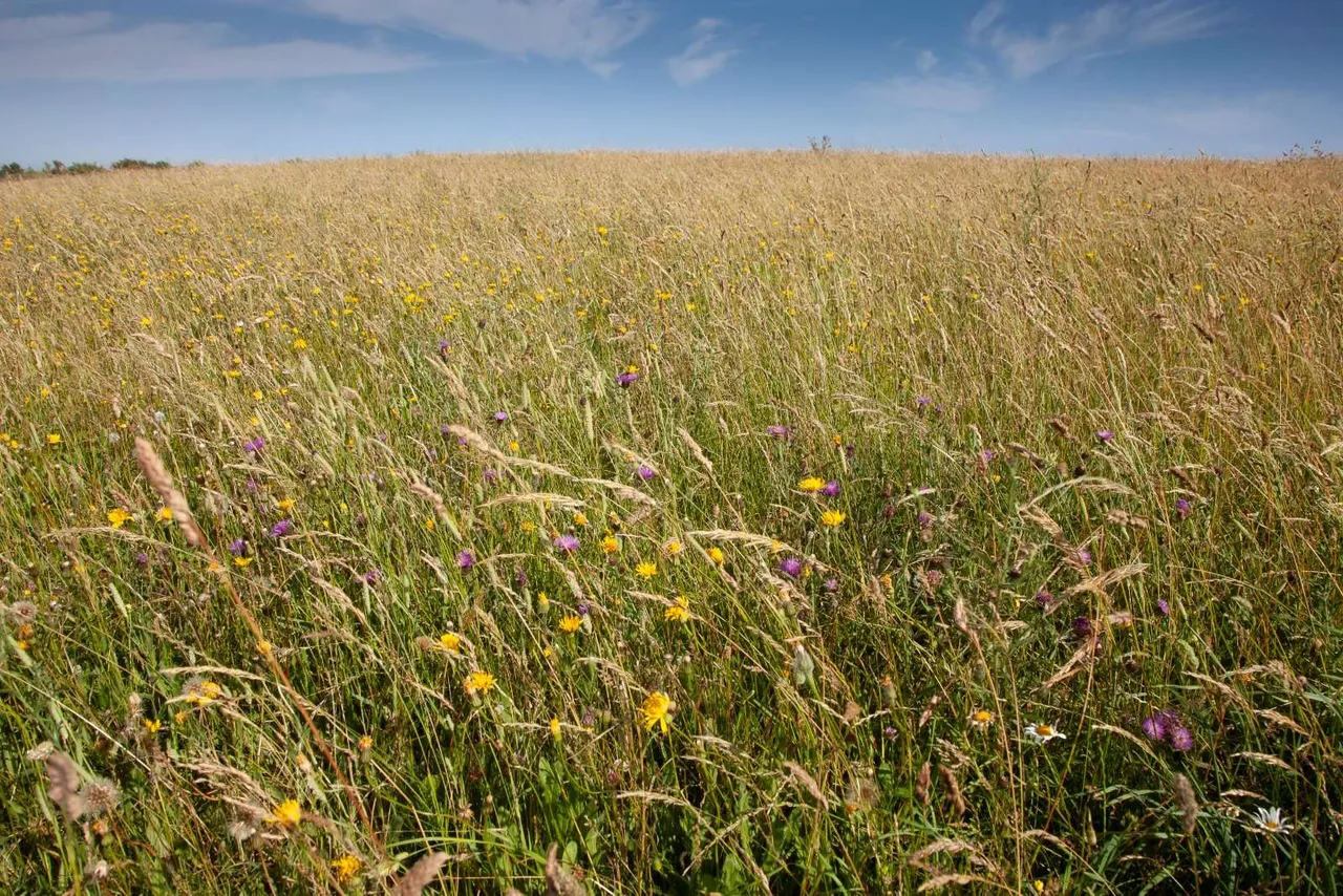 Watercombe, Dorchester, Dorset, DT2 8FX, photo 11