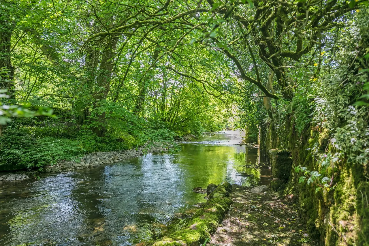 Riverside Walk, Airton, BD23, photo 2