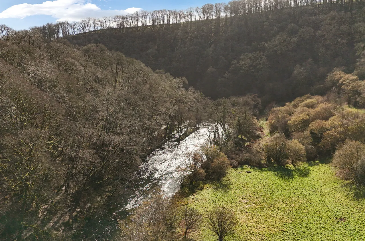 Dulverton, TA22, photo 8