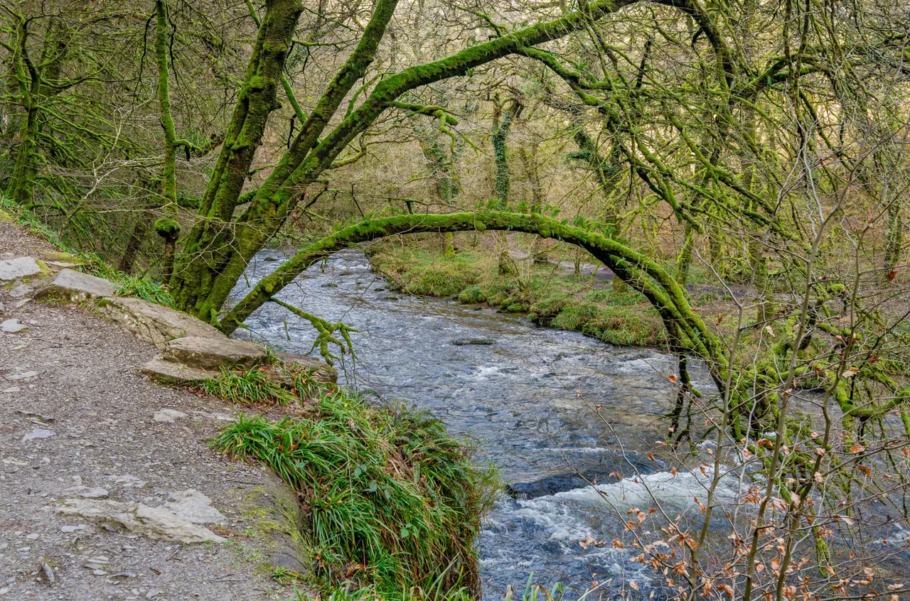 Dulverton, TA22, photo 7