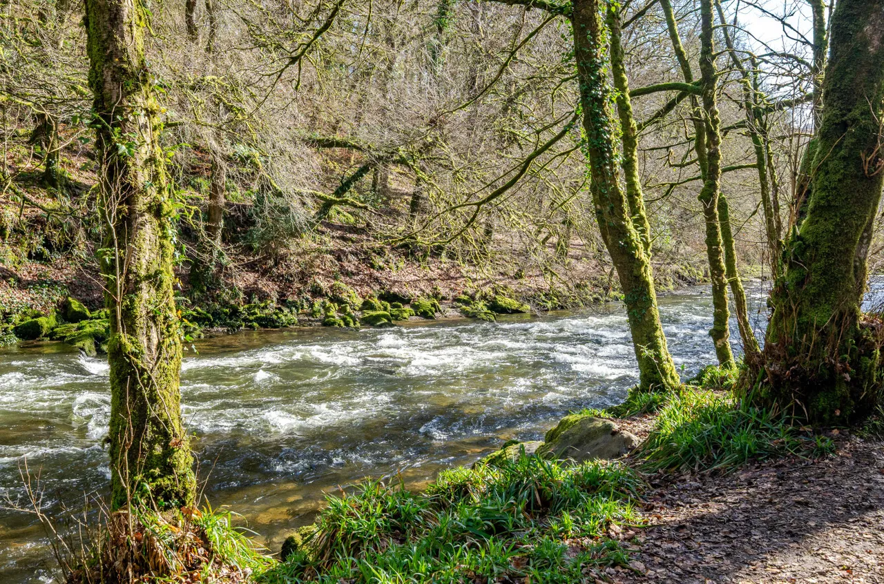Dulverton, TA22, photo 3