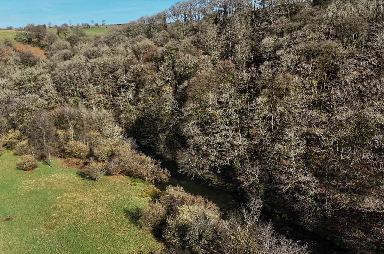Dulverton, TA22, photo 13