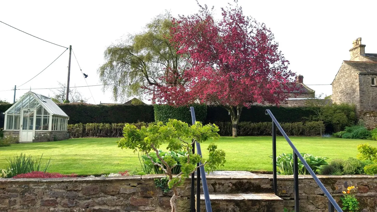 Bellerby, Leyburn, DL8, photo 20