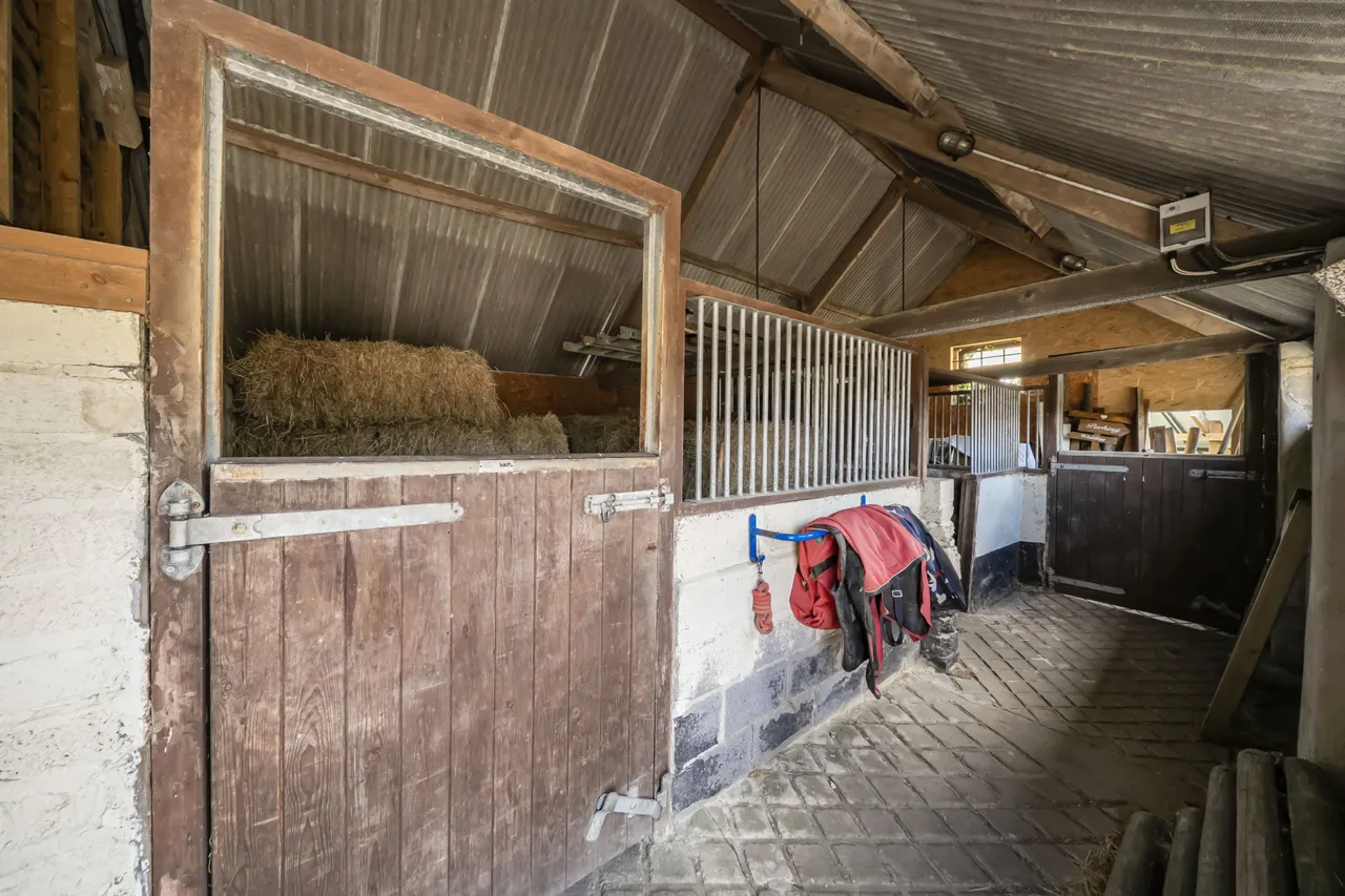Mapperton Hill, Milton on Stour, SP8, photo 14