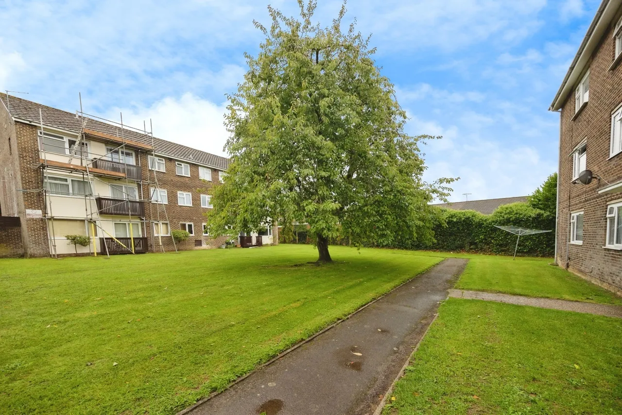 Crombie Close, Waterlooville, PO8, photo 12