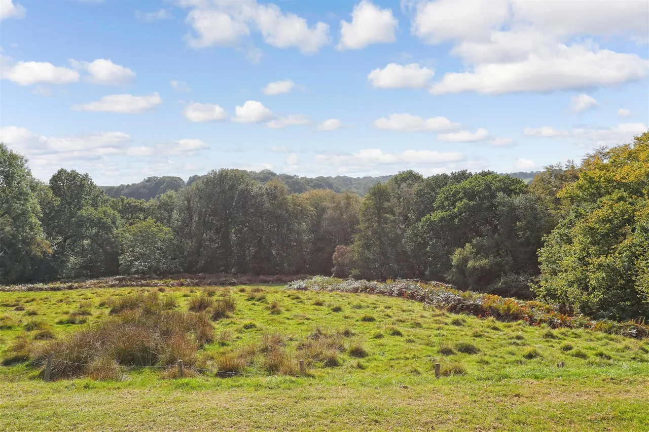 Bassetts Lane, Mark Cross, TN6, photo 15