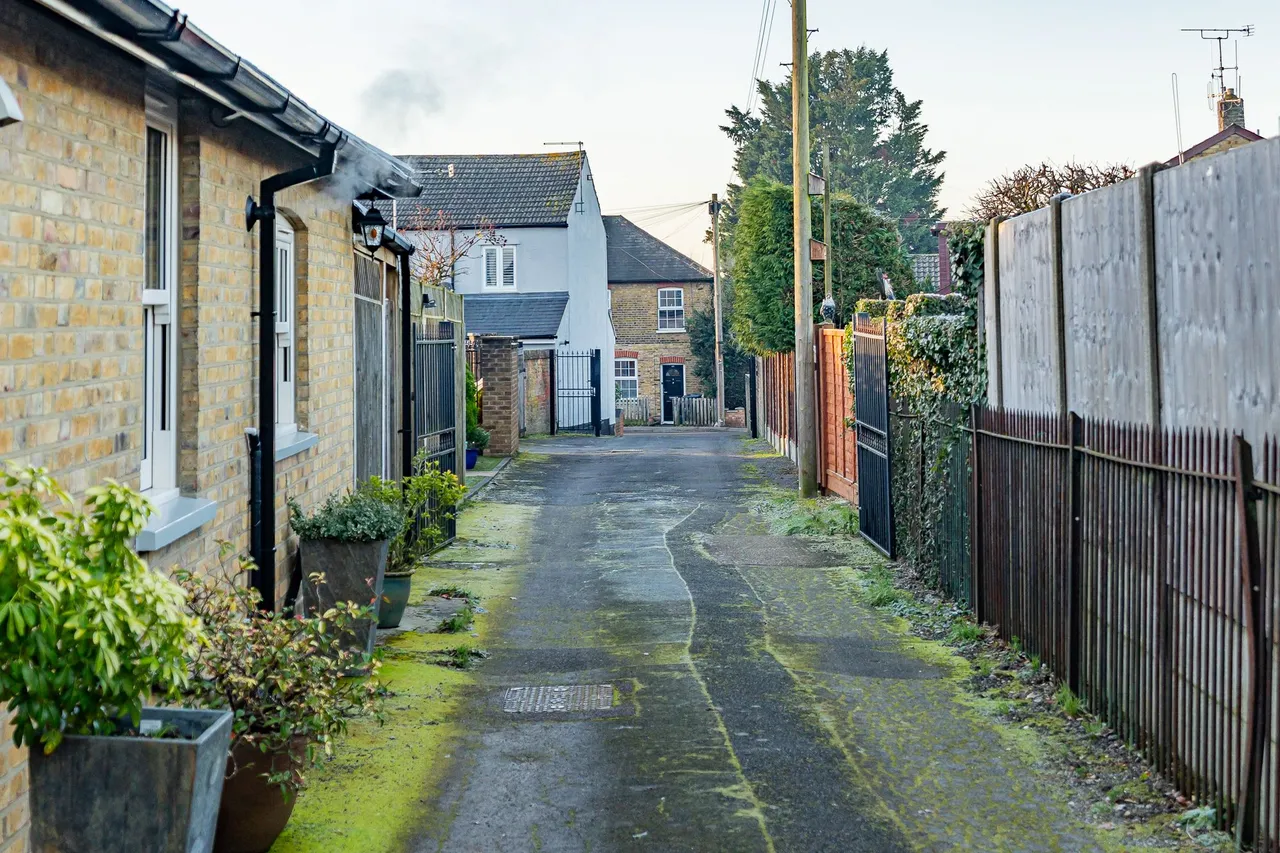 High Oak Road, Ware, SG12 7PD, photo 4