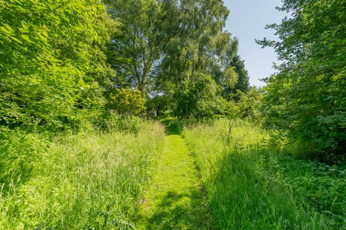 Langham Road, Binham, NR21, photo 30